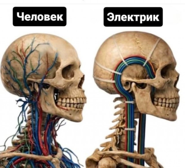 забавные картинки, шутки из этих ваших интернетов