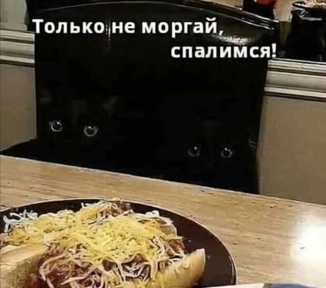 Так себе картинки 18.08.26