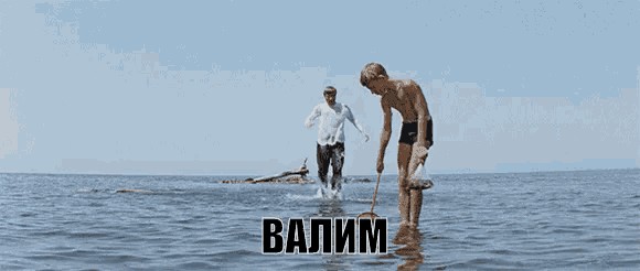 Вот же собака сутулая