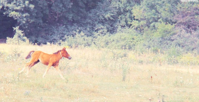 Крым: Судак и окрестности