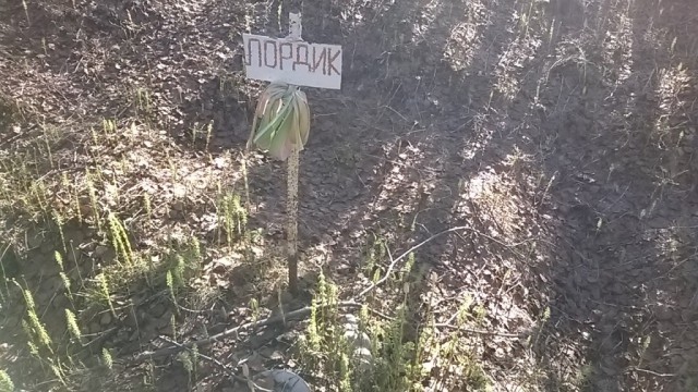 Кладбище домашних любимцев.