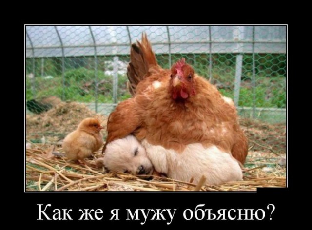 Демотиваторов пост, добавляйте свои