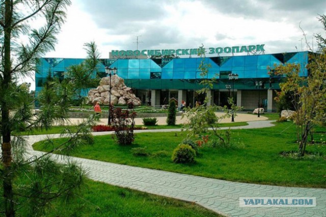 Тамбовский волк тебе товарищ...