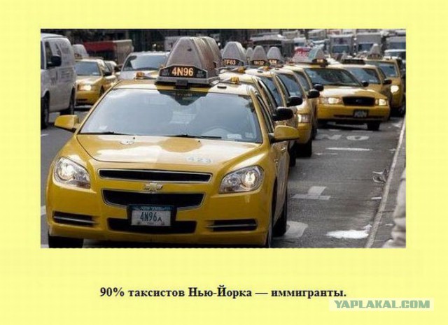 20 фактов обо всем
