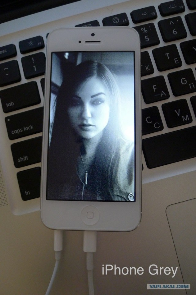 Мурка Грей.