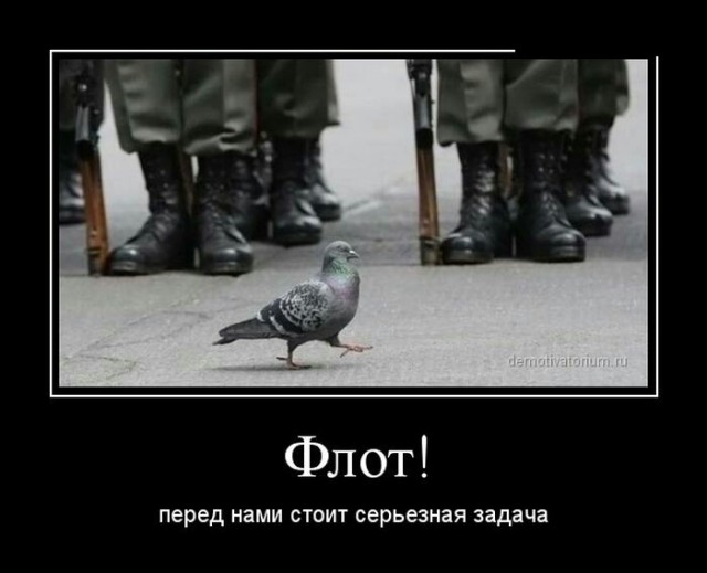 Прикольные картинки и демотиваторы
