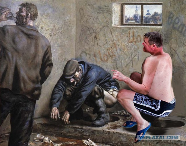 Жаба: Фотолюбитель