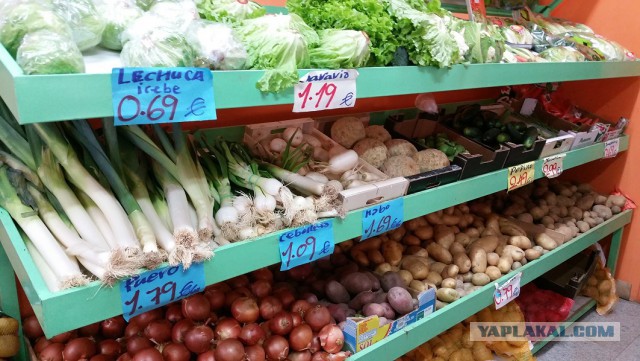Настоящая Испания изнутри: на местный рынок за продуктами