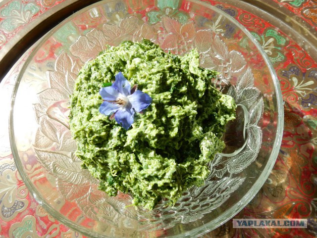 Травяные пельмени с коноплей