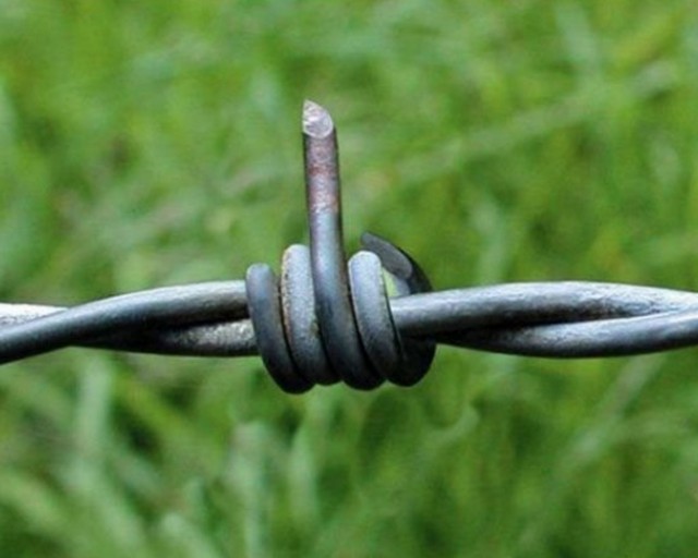 Смешные и не очень картинки из этих ваших интернетов