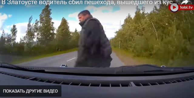 В Златоусте водитель сбил пешехода, вышедшего из кустов после пикника