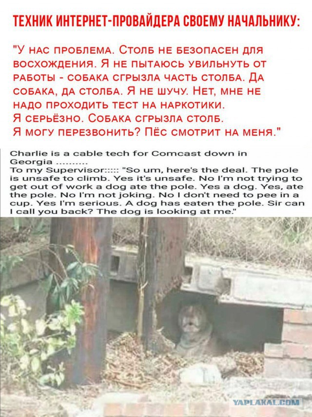 Картинки всякие разные