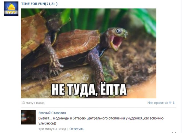 Да что ж вы так орете в постели!