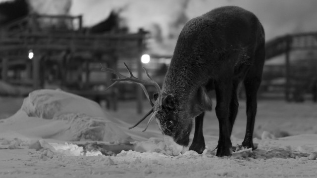 Просто Природа