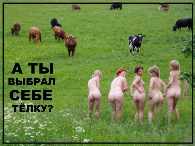 Ударницы сексуального труда или дамы с пониженной социальной ответственностью