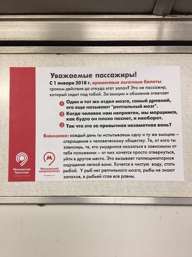 Немного картинок для хорошего настроения