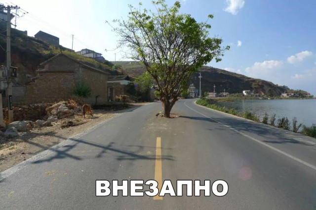 Нестандартный юмор
