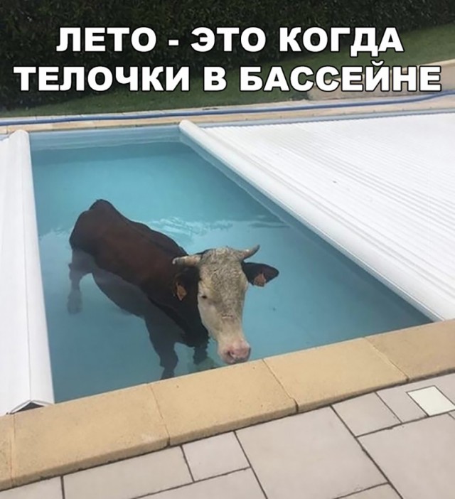 Нестандартный юмор