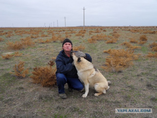 Командировка. В леса