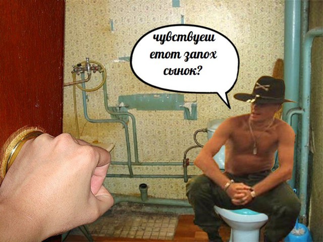 Прикольные картинки