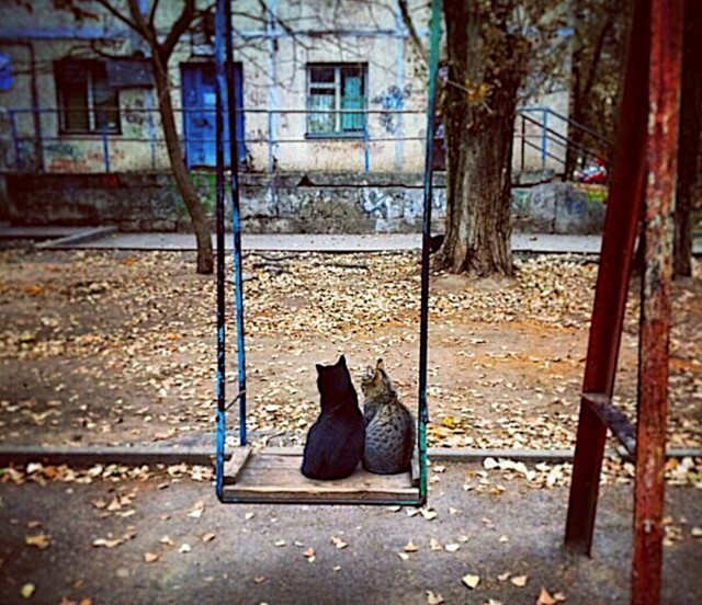 Немного картинок на вечер
