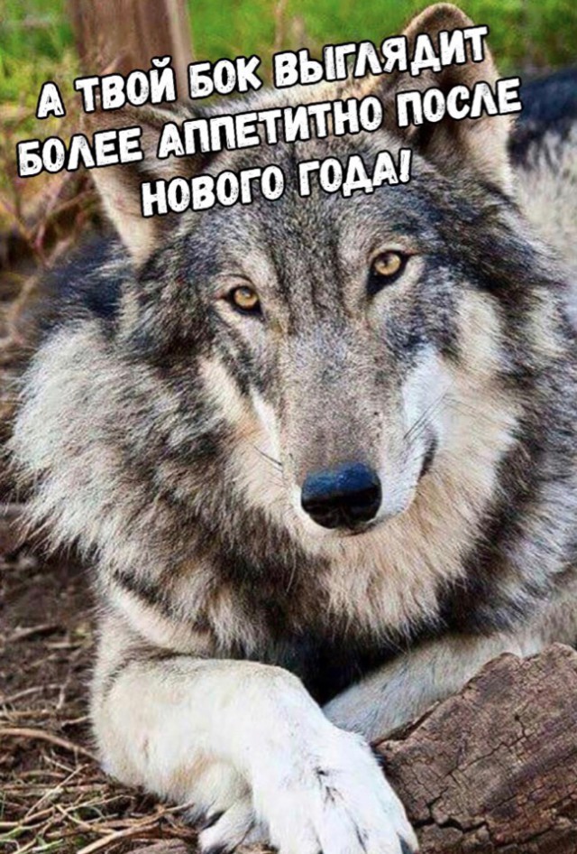 Немного картинок на вечер