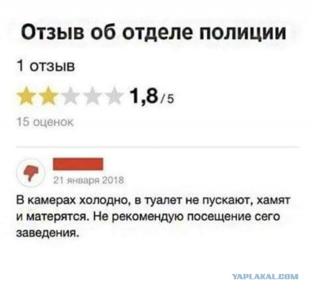 Бредзона картинок 20.11.2019