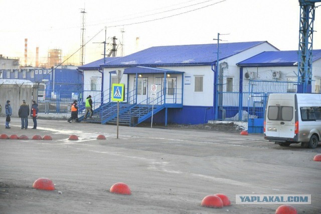 Пандемия. Коронавирус. Россия и мир. Последняя информация. Часть 11