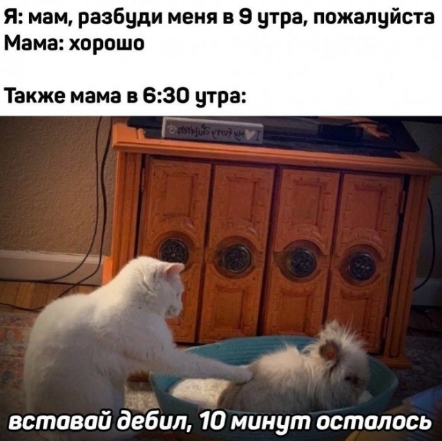 Немного картинок для настроения 15.05.20