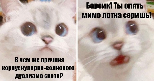 Немного картинок для настроения 23.07.20