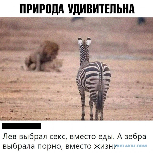Юмор в картинках 26.07.20
