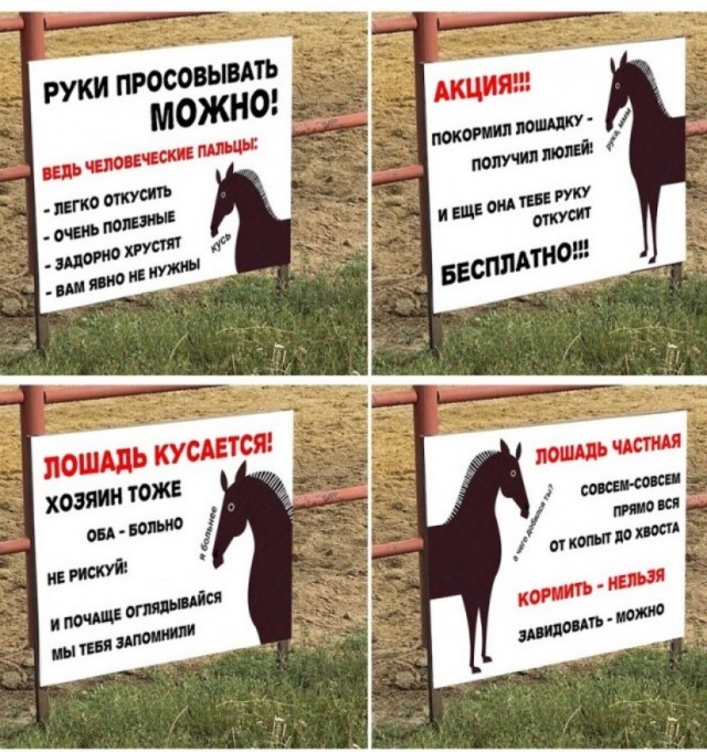 Руки просовывать можно!