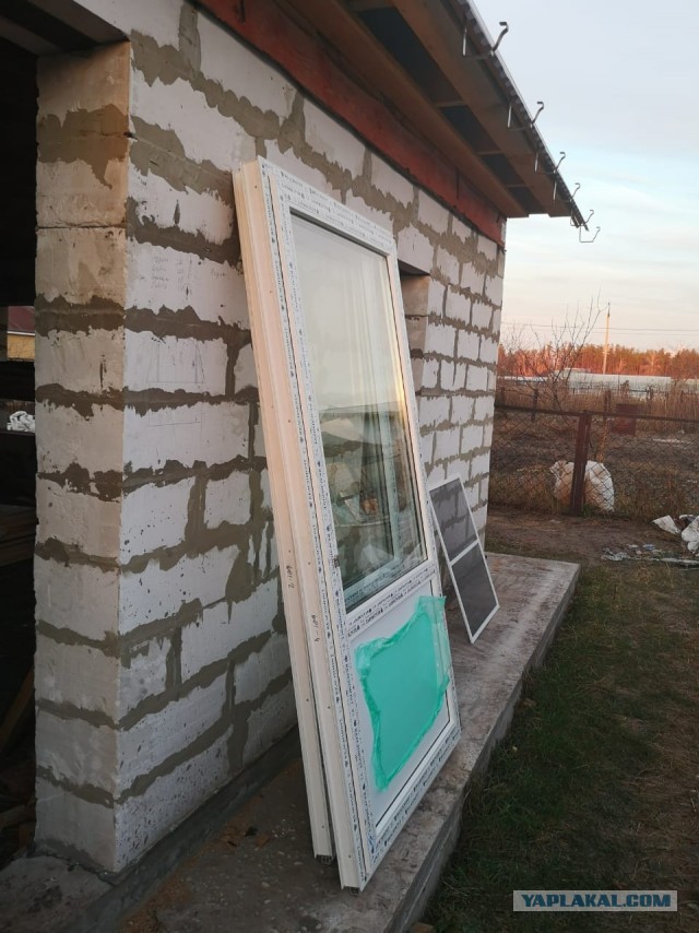 Жизнь домашнего приюта "Котоленд" 260
