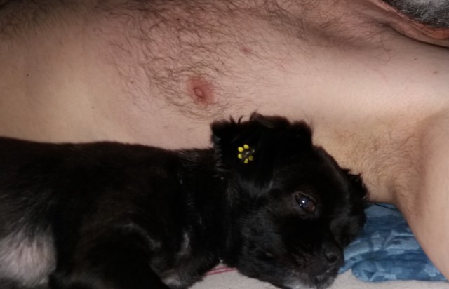 Женская ложь – это меркантильное прикрытие своих интересов и не имеет никакого отношения к любви