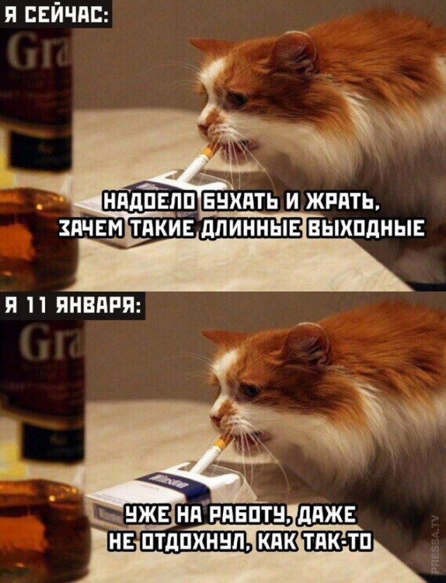 Картинки и мемы для настроения 005