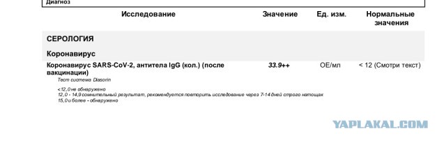 Пандемия. Коронавирус. Россия и мир. Последняя информация. Часть 20