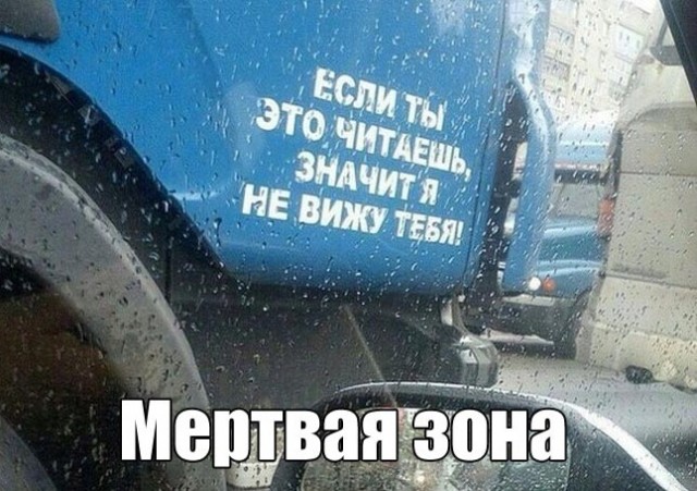 Курица