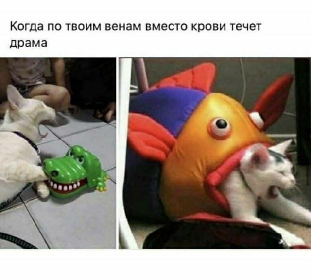 Картинки с надписями и всякие жизненные фразы 5.06.21