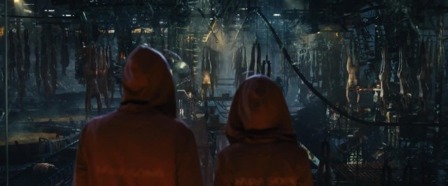 Российские леса постоянно горят, но их биомасса рекордно выросла. Как так вышло и что из этого следует?