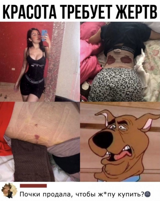 Баянисто-небаянистый юмор 17.11.21