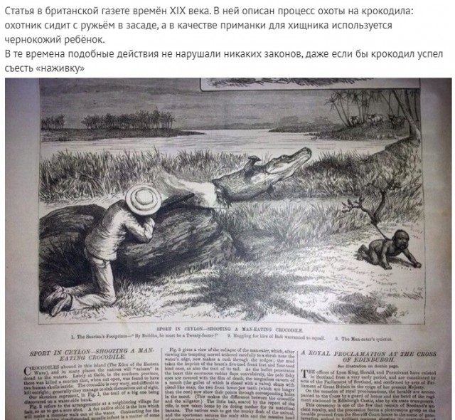 Так себе картинки 20.11.21