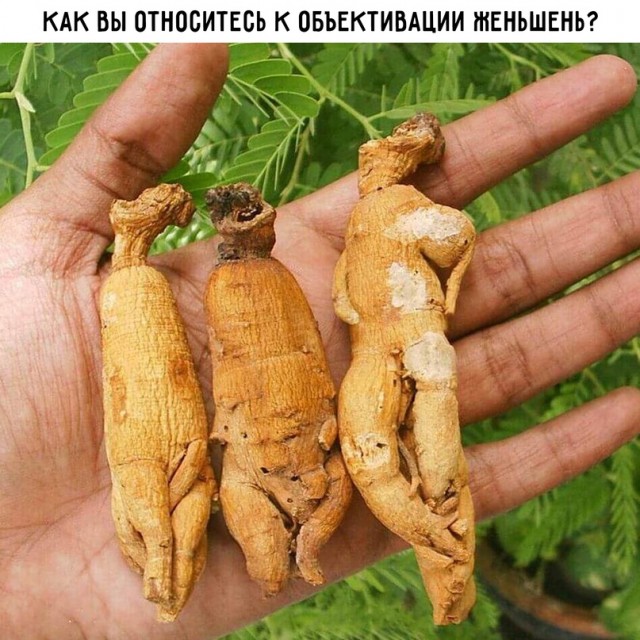 Картинки и мемы для настроения  -  9