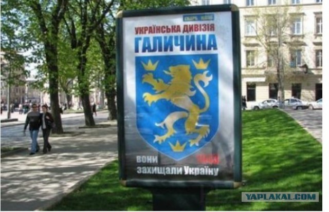 Не забывайте люди об этих зверях, никогда