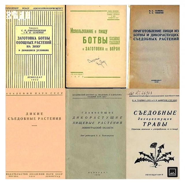 Врачи заявили о недостатке свыше 80 лекарств в аптеках