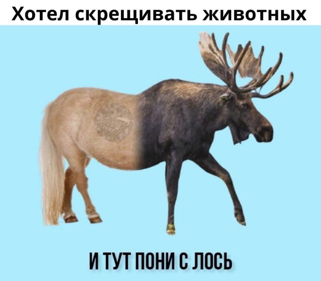 Так себе картинки 24.03.22
