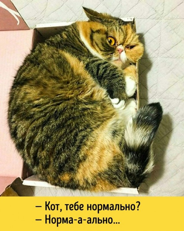 Бэушный джипег