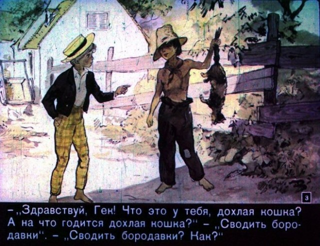 Шок от увиденного