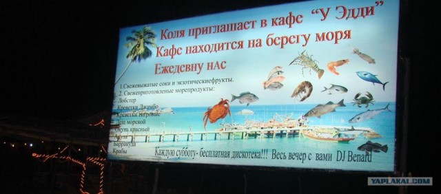 Гоа 2012
