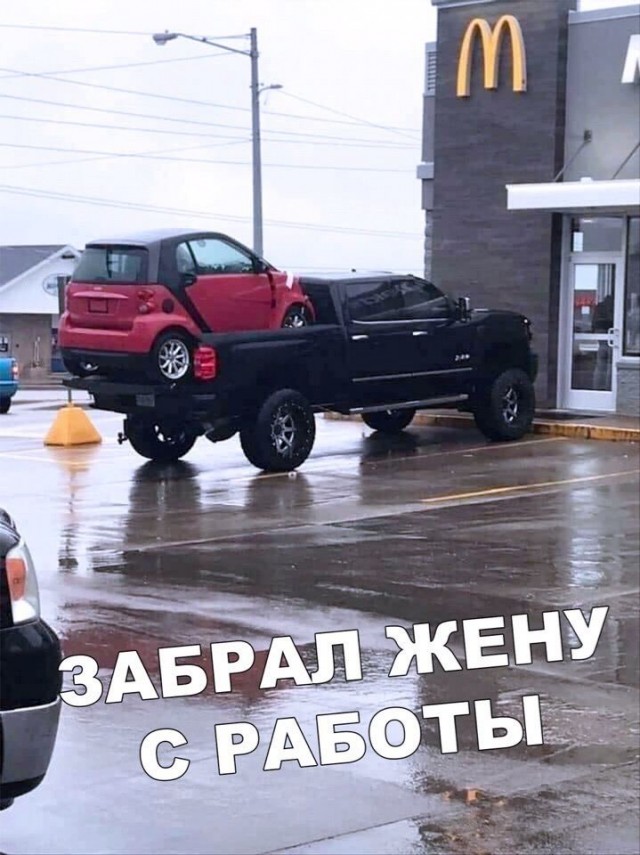 Весёлый полтишок 18.11.22