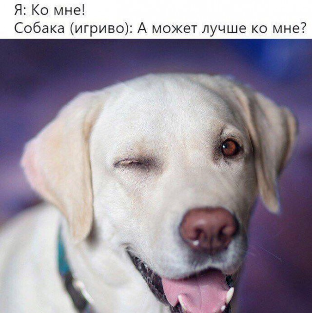 Народная меДИЧина 8022